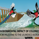 Environmental-Impact-of-Colonization
